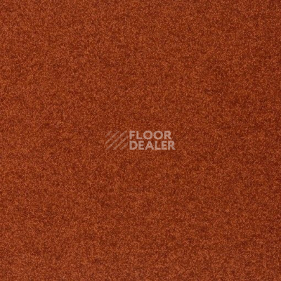 Ковролин Balta ITC Durana 54 фото 1 | FLOORDEALER